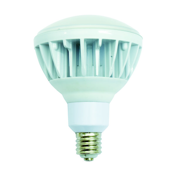 日動工業 NICHIDO 投光器用LED交換球 ハイスペックエコビック40W E39 昼白色 本体白 L40V2-J110-50K 1個（直送品）