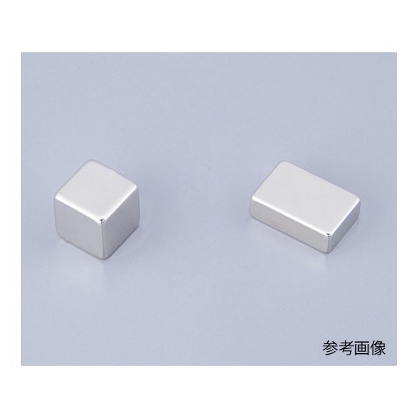 二六製作所 ネオジム磁石 (角型) 10×5×1 30個 NK020 1セット(30個) 3-2206-04（直送品）