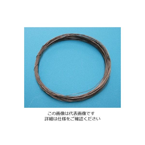 アズワン 熱電対素線 φ1.0mm×10m 1セット（2本） 3-3117-03（直送品）