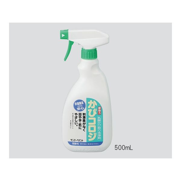 サンデーペイント かび取り剤 250mL 3-4774-01 1個（直送品）