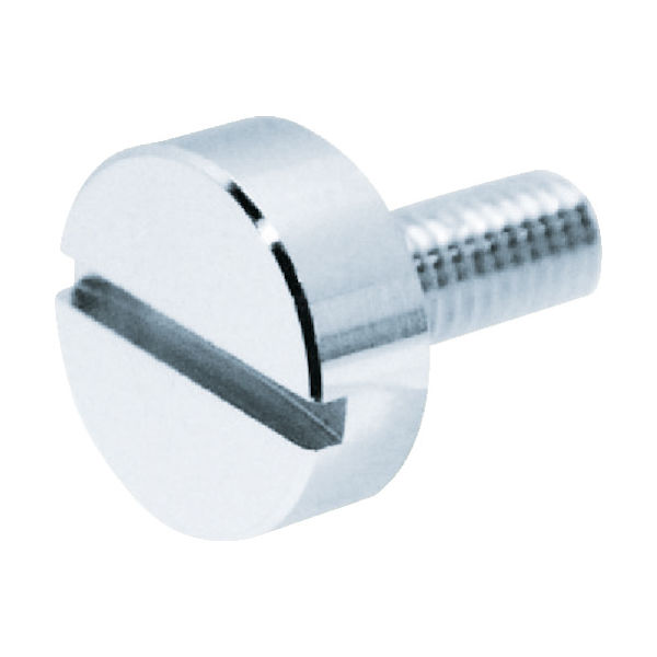 トラスコ中山 TRUSCO 装飾平小ねじ すり割りコイン M6 Φ16 L25 1個入 DS-AB282 1個 855-5851（直送品）