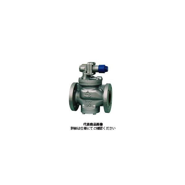 ベン 減圧弁 RP6ーBー65A 1個（直送品） 81,474円