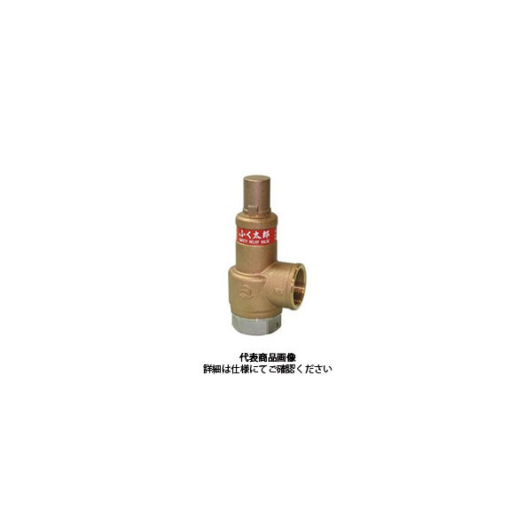 ベン SL38ーD2k2 0.2MPa ふく太郎 青銅/SCS安全逃し弁 SL38ーD2K2ー25A 1個（直送品） 17,094円