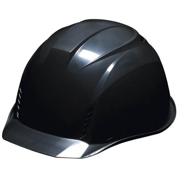 DICプラスチック ABS製ヘルメット 涼神/リョウジン AA16-FV （ライナー付/内装HA2） 黒 1個（直送品）
