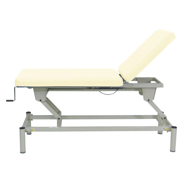 手動式ハイロー・背上げ診察台 DF-SG 大信工業　マツヨシカタログ（直送品）