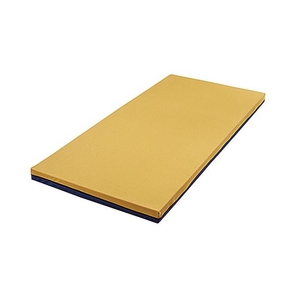 マルゼン 低反発エアーマットレス (ヴィスコフロート) 830×1910×8 VT853 1枚 7-2526-02（直送品）