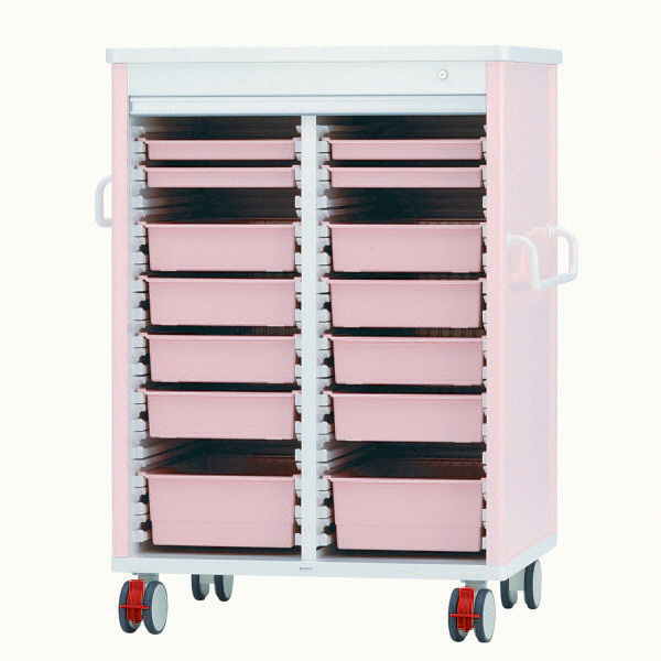 ケルン テイスウカート（シャッター）ダブル KK-221-03SET 　（直送品）