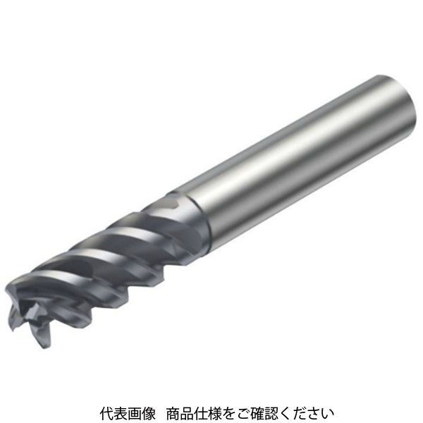 サンドビック ソリッドエンドミル R216.24ー10050ECC22P1620 R216.24-10050ECC22P1620 1本（直送品）