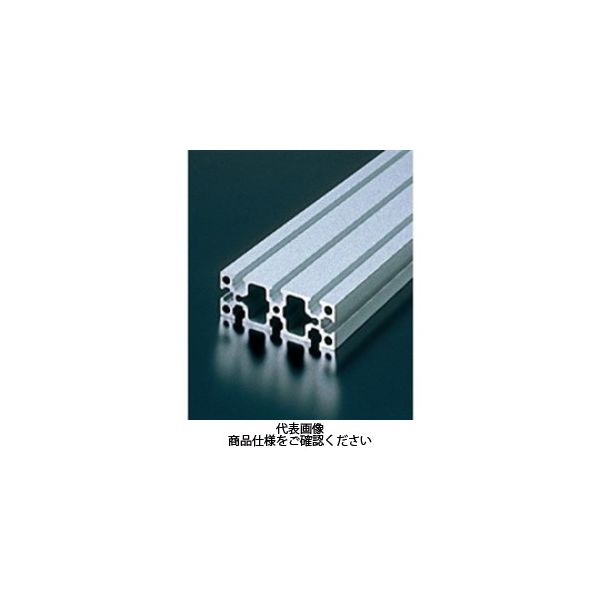 エヌアイシ・オートテック M6 ベーシックアルミフレーム 101mm AFS-3090-6-101 1セット（40本）（直送品） 12,385円