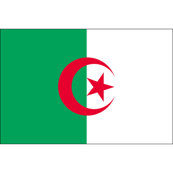 東京製旗 アルジェリア国旗（卓上旗16×24ｃm) 406106 1枚（直送品）