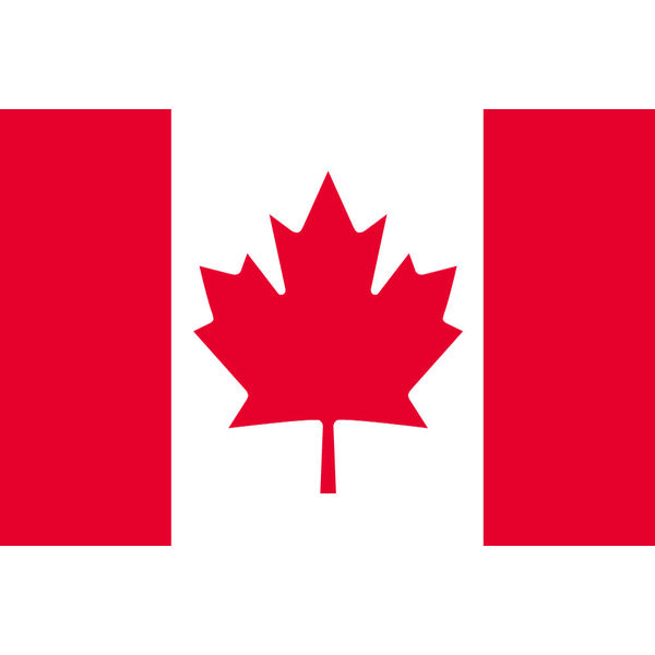 海外限定 国旗 ラブラドール地方 カナダ 特大フラッグ