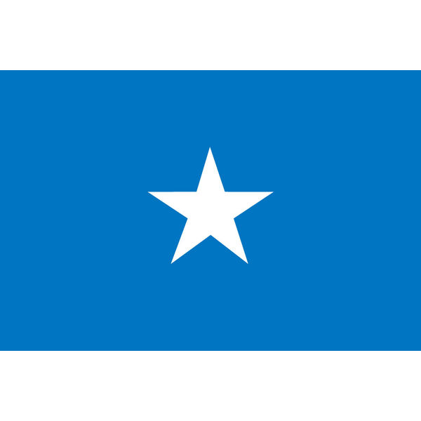 東京製旗 ソマリア国旗（卓上旗16×24ｃm) 406381 1枚（直送品）