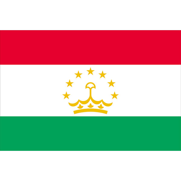 東京製旗 タジキスタン国旗（卓上旗16×24ｃm) 406405 1枚（直送品）