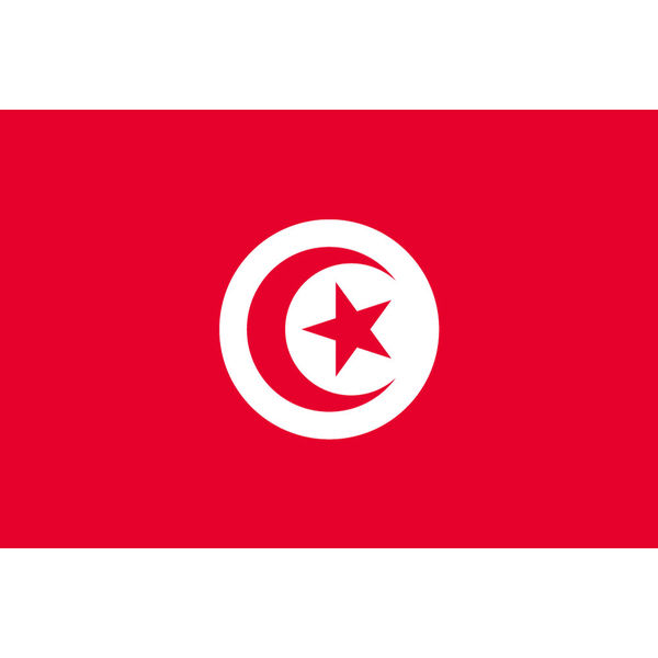 東京製旗 チュニジア国旗（卓上旗16×24ｃm) 406424 1枚（直送品）