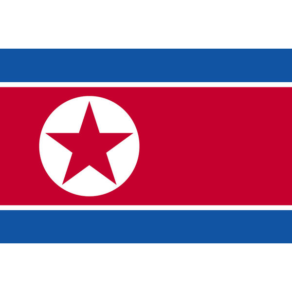 東京製旗 朝鮮民主主義人民共和国（北朝鮮）国旗（卓上旗16×24ｃm) 406426 1枚（直送品）