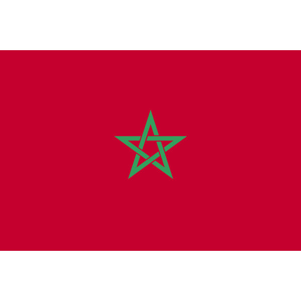 東京製旗 モロッコ国旗（卓上旗16×24ｃm) 406786 1枚（直送品）