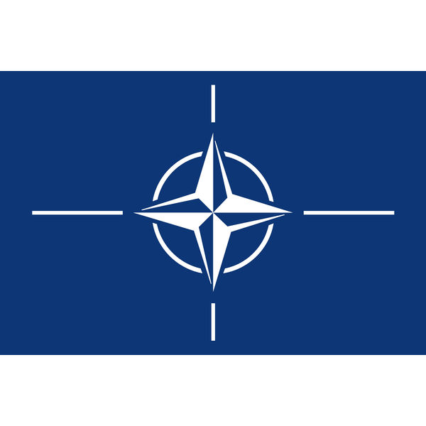東京製旗 NATO 旗(北大西洋条約機構・卓上旗16×24ｃm) 406911 1枚（直送品）
