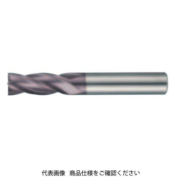 グーリングジャパン（GUHRING） 超硬 ECO エンドミル ES04 2.0 1セット（10本）（直送品）