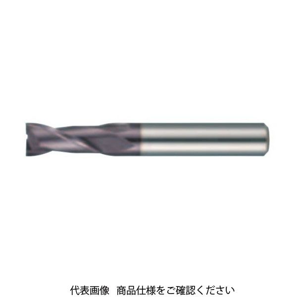 グーリングジャパン（GUHRING） 超硬エンドミル 3635 3635-2.5 1本（直送品）