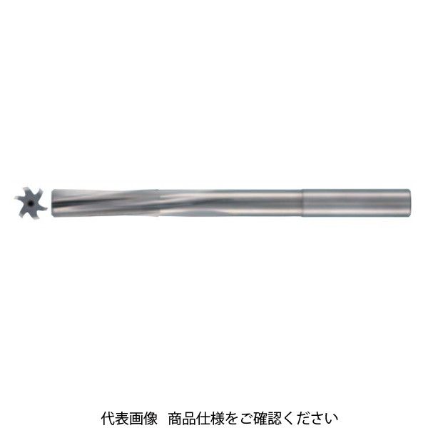 グーリングジャパン（GUHRING） 超硬リーマ 5527-0.99 1本（直送品）