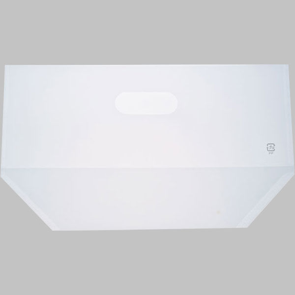 パックスタイル PS 透明スタンド袋320×180 00443700 1包：3000枚（100×30）（直送品）