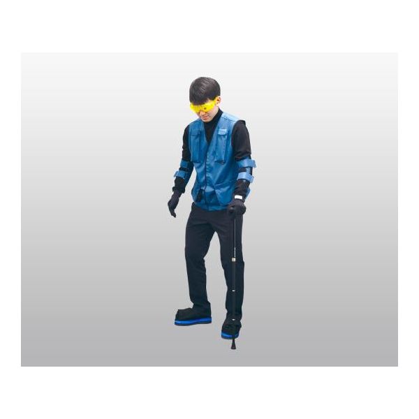 特殊衣料 疑似体験セット高齢者用Ver.2 L 0-6302-12 1セット（直送品）