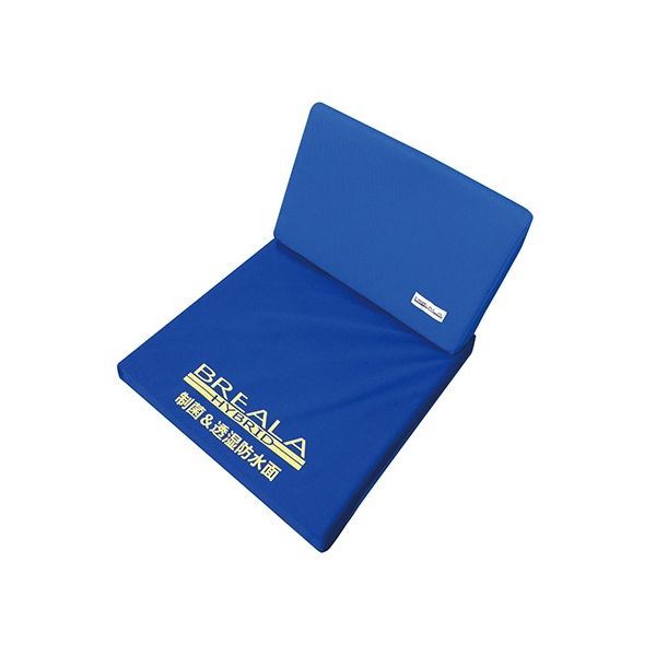 ボディドクターメディカルケア ブレイラハイブリッドケアシート2WAY BRHS-400BL-2W 1個 7-1594-01（直送品）