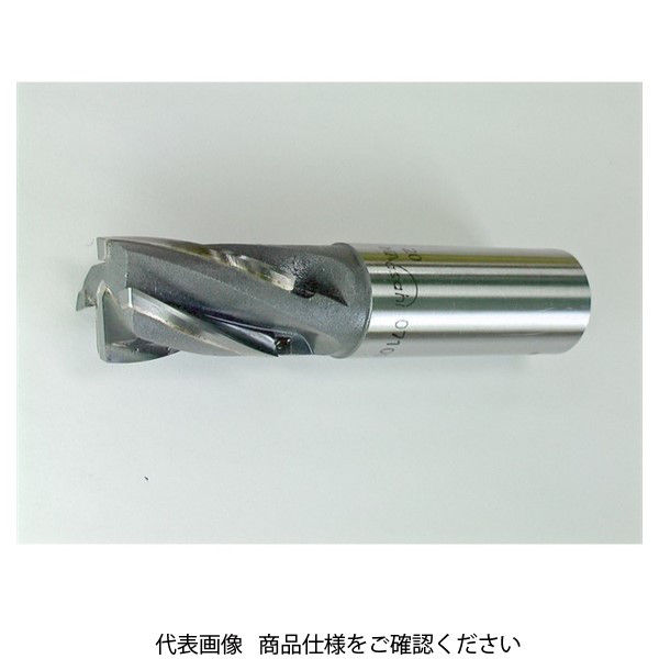 アサヒ工具製作所 R付きサイドカッター G2 SCO100020-1RK 1本（直送品）