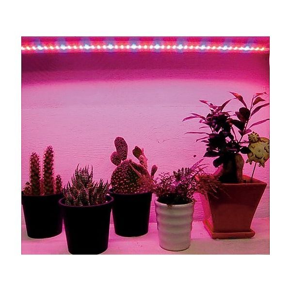 アズワン 植物育成LEDライト補光用LED 2-1410-01 1セット（直送品）