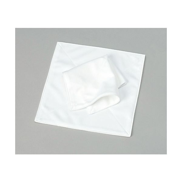 アズワン ミクロスタークロス 2重 676-4902 1パック(10枚) 61-0079-15（直送品）