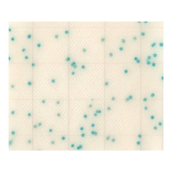 JNC MCーMedia Pad CC 大腸菌群用 (100枚) SK02B25 1箱(100枚) 2-5838-22（直送品）