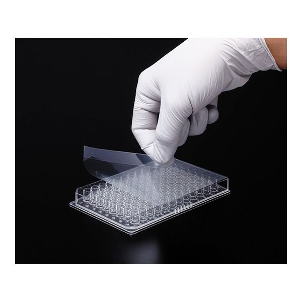 深江化成 タイタースティックHCフィルム UV透過タイプ プレートサイズ 547-KTS-HCUV 1箱(100枚) 62-0891-47（直送品）