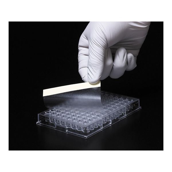 深江化成 プレートシールT PET製粘着シール 547-SBS-PET 1箱(100枚) 62-0891-49（直送品）