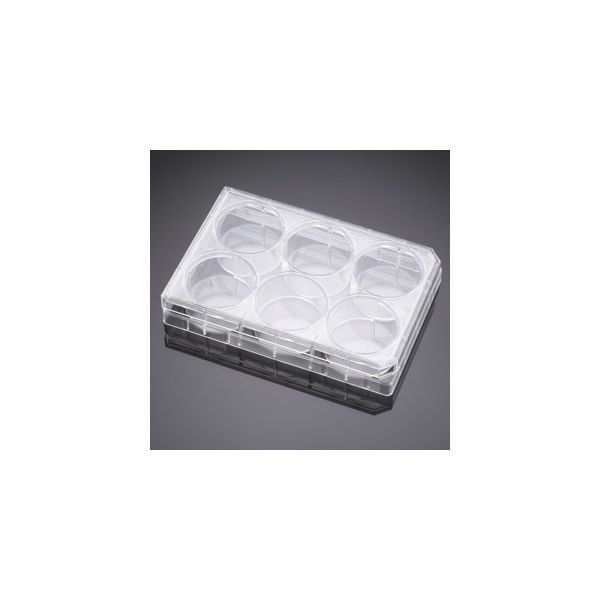 ノントリートメントプレート