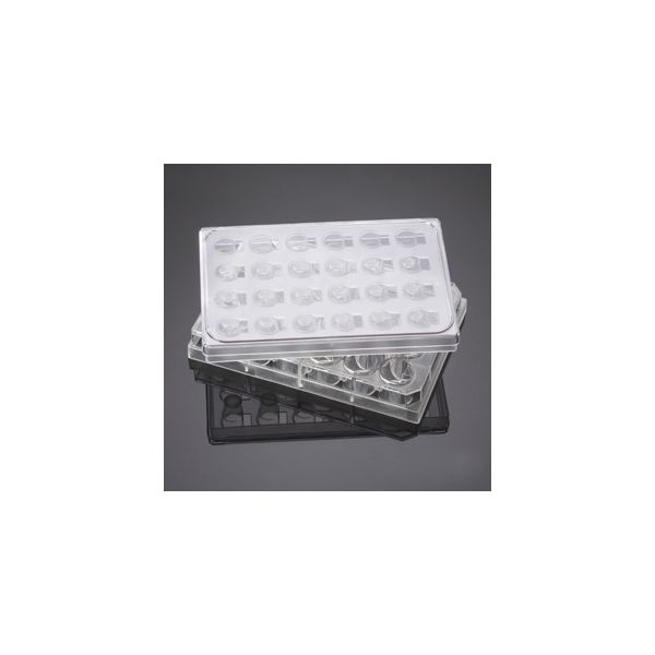 コーニングインターナショナル HTSマルチウェルインサート 24ウェル 8μm 5個/パック×1パック 351185 1ケース(5個)（直送品）