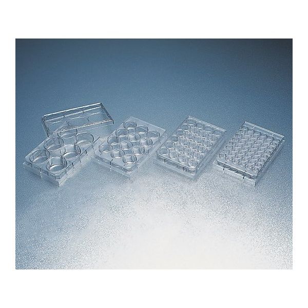 セルカルチャー レディスタックプレート