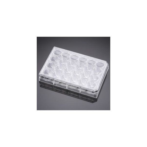 コーニングインターナショナル PureCoat アミン 24ウェルプレート 5個/パック×1パック 354723 1ケース(5個)（直送品）