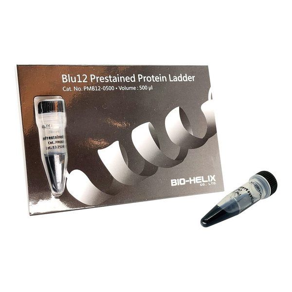 アズワン BLUeye Prestained Protein Ladder プロテインラダーマーカー PMB12-0500 1個（直送品）