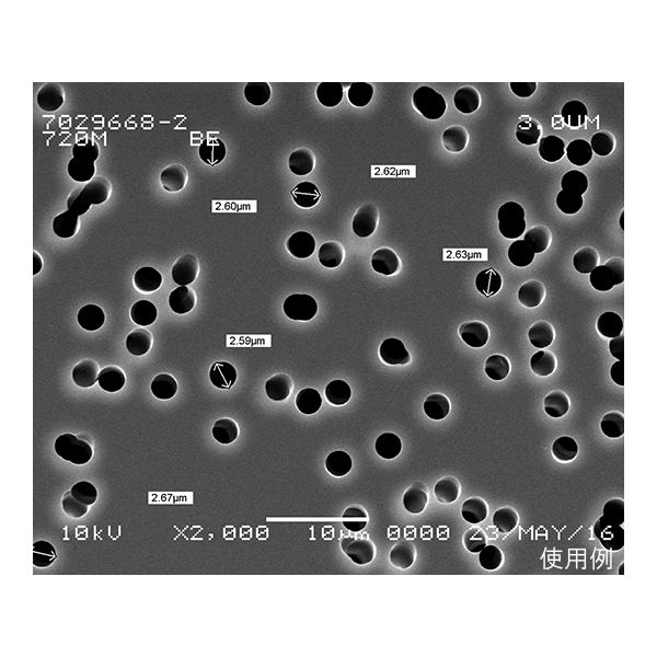 Track Etched Membrane， Polycarbonate， 25mm， 0.6um， 100/pk 1215619 1箱(100枚)（直送品）