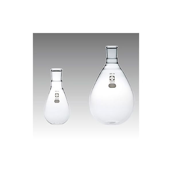 柴田科学 SPC平底なす形フラスコ 100mL 035120-29100 1個 61-4420-61（直送品）