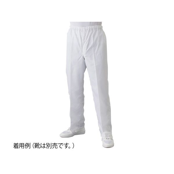 東洋リントフリー 無塵衣FD300A パンツ・ホワイト4L FD300A-01 4L 1本(1枚) 61-0093-24（直送品）