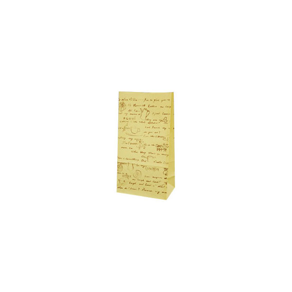 パックタケヤマ 角底袋 ハイバック H4 レター XZT00475 1包：100枚×20（直送品）