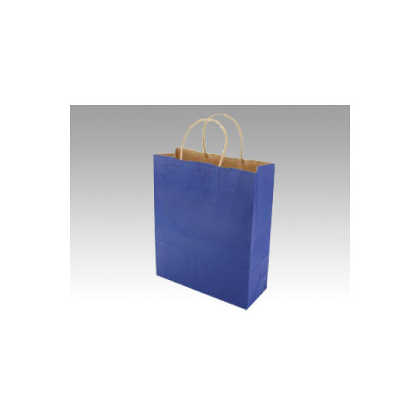 パックタケヤマ 手提袋 Z マリン XZT00675 1包：50枚×4（直送品）