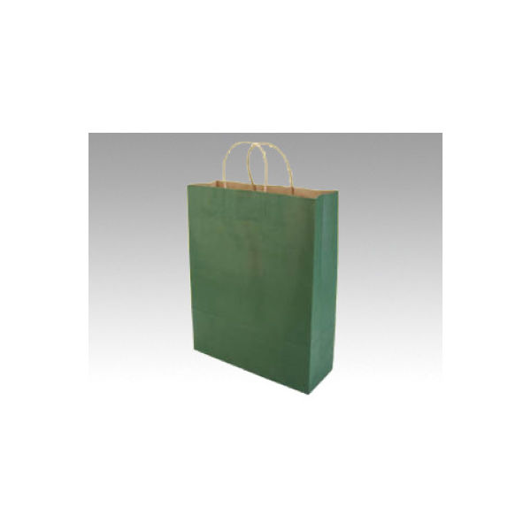 パックタケヤマ 手提袋 Z エメラルド XZT00676 1包：50枚×4（直送品）