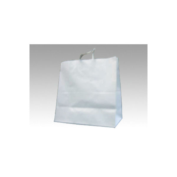 パックタケヤマ 手提袋 V 晒無地