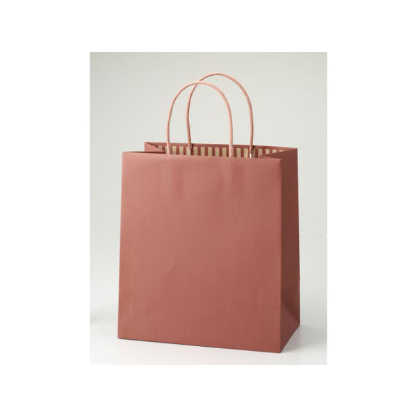 パックタケヤマ 紙手提袋 STカラーズ アップル XZT68304 1包：10枚×10（直送品）