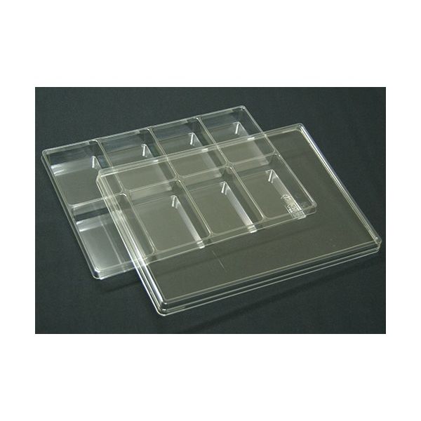 アズワン サンプル保管トレー(1枚入) 210×297×25mm 2×4マス T-005-08(8マス)1マイ 1枚 61-9950-16（直送品）