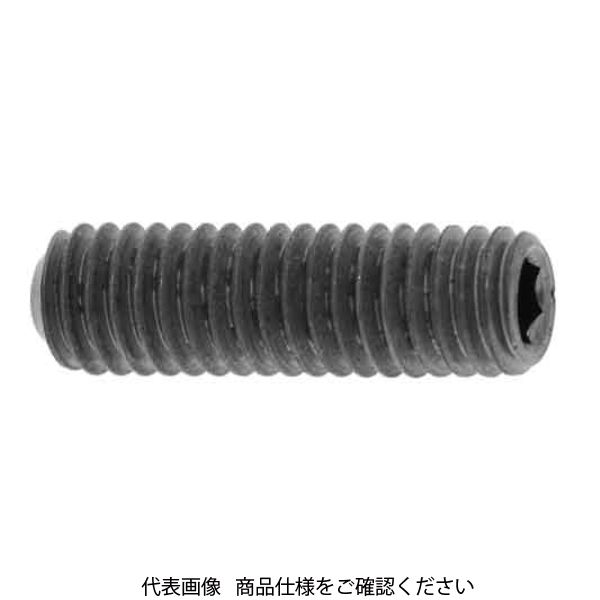 ファスニング J ニッケル 鋼 六角穴付き止めねじ（ホーローセット）（くぼみ先） 2.6 X 2 A00050000026002005-10（直送品）