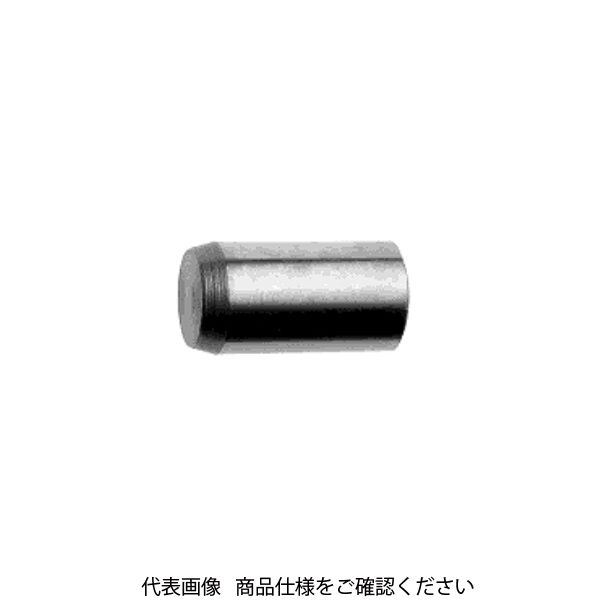 ファスニング J SUS303 平行ピン A種m6 3 X 6 D002010A0030006000-10 1箱（10個）（直送品）