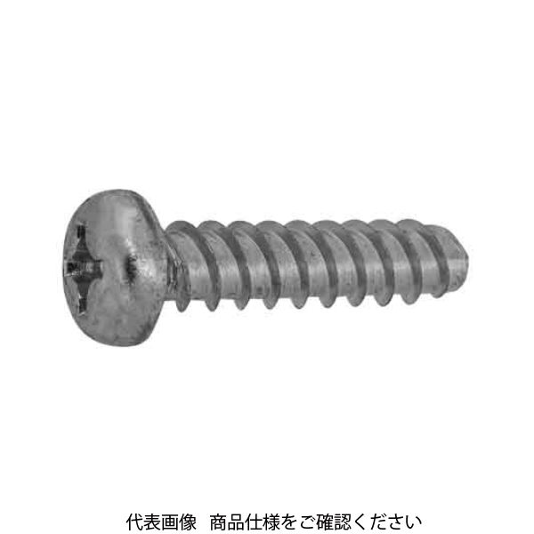 ファスニング J 3カーW 鉄 タイト（+）Pタイプ ナベ 2.6 X 6 300020000026006003-10 1箱（10個）（直送品）